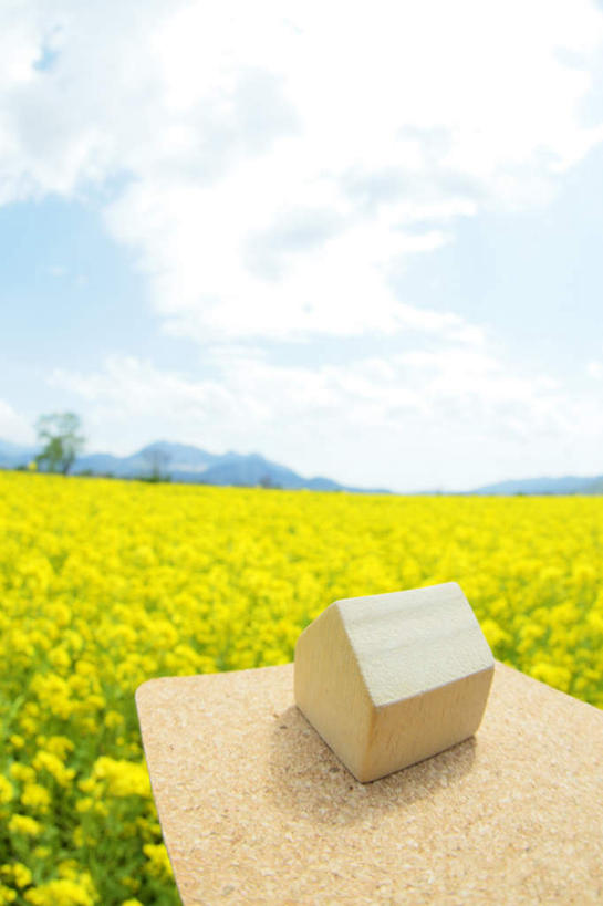 无人,竖图,室外,白天,正面,旅游,度假,花海,花圃,美景,植物,叶子,长野县,日本,亚洲,一块,许多,盛开,木制,木板,屋子,景观,云,云朵,花蕾,云彩,娱乐,花,花瓣,花朵,花卉,鲜花,一个,黄色,蓝色,绿色,白云,蓝天,天空,自然,模型,木制品,花丛,花束,花田,天,花苞,花蕊,油菜花,享受,休闲,景色,放松,晴朗,单个,自然风光,东亚,本州,本州岛,日本国,中部地方,长野,晴空,彩图,芸苔,芸薹