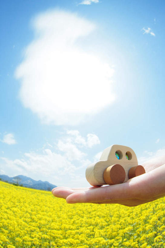 东方人,一个人,捧,竖图,室外,白天,广角镜头,鱼眼镜头,仰视,旅游,度假,花海,花圃,美景,植物,汽车,叶子,亚洲,仅一个年轻女性,仅一个女性,仅一个人,许多,盛开,木制,景观,花蕾,黄种人,娱乐,车,花,花瓣,花朵,花卉,鲜花,黄色,蓝色,绿色,蓝天,天空,自然,模型,木制品,交通工具,轿车,花丛,花束,花田,天,花苞,花蕊,油菜花,享受,休闲,景色,放松,晴朗,自然风光,载具,万里无云,年轻女性,女人,女性,亚洲人,晴空,晴空万里,端,端着,捧着,手捧,半身,彩图,低角度拍摄,芸苔,芸薹