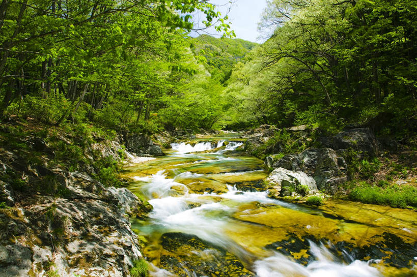 无人,横图,室外,白天,正面,旅游,度假,河流,美景,树林,水,植物,日本,亚洲,河水,景观,水流,娱乐,树,树木,蓝色,绿色,蓝天,天空,小溪,自然,天,溪水,享受,休闲,景色,放松,流动,生长,晴朗,成长,自然风光,流淌,东亚,本州,万里无云,关东地方,本州岛,日本国,栃木,栃木县,晴空,晴空万里,彩图