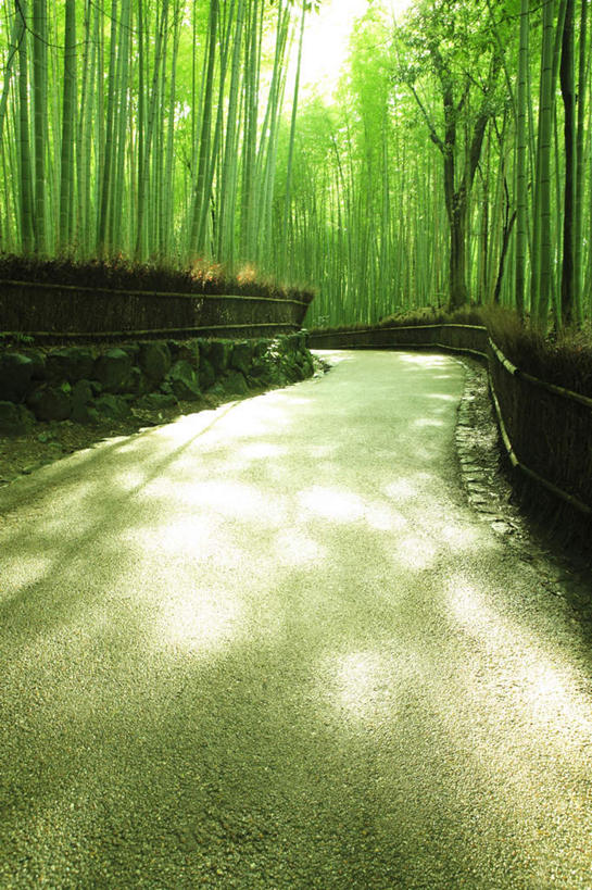 无人,栏杆,竖图,室外,白天,正面,旅游,度假,美景,树林,植物,道路,路,京都,日本,亚洲,阴影,光线,影子,栅栏,柱子,景观,篱笆,竹林,围栏,小路,交通,娱乐,护栏,树,树木,绿色,阳光,自然,享受,休闲,景色,放松,乡间小路,京都府,生长,成长,自然风光,东亚,本州,本州岛,日本国,近畿地方,近畿,嵯峨野,彩图