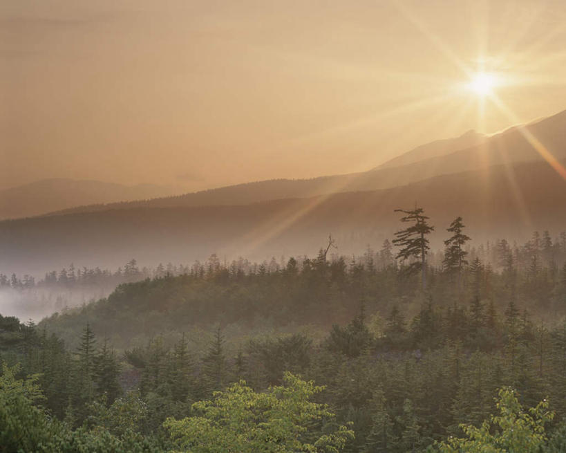无人,横图,全景,俯视,航拍,室外,白天,旅游,度假,日出,美景,森林,山,山脉,树林,太阳,天际线,植物,雾,北海道,日本,亚洲,阴影,朦胧,模糊,光线,光泽,影子,地平线,景观,山峰,辽阔,地面,朝霞,光芒,黎明,山峦,娱乐,树,树木,蓝色,绿色,蓝天,天空,阳光,自然,群山,天,享受,休闲,景色,放松,生长,晴朗,成长,一望无际,迷雾,鸟瞰,自然风光,延伸,光辉,东亚,万里无云,日本国,天地相交,北海道地方,北海道岛,美瑛町,美瑛,毫光,朝阳,大雾,晴空,晴空万里,彩图,高角度拍摄,破晓,大雪山