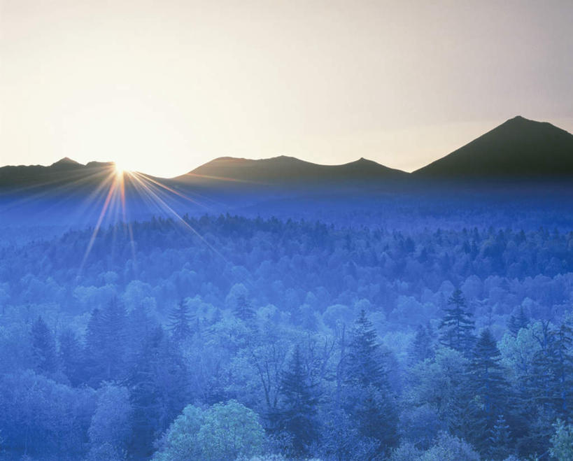 无人,横图,全景,室外,白天,正面,旅游,度假,日出,美景,森林,山,山脉,树林,太阳,天际线,植物,北海道,日本,亚洲,朦胧,模糊,地平线,景观,山峰,辽阔,地面,朝霞,黎明,山峦,娱乐,树,树木,蓝色,绿色,蓝天,天空,阳光,自然,群山,天,享受,休闲,景色,放松,生长,晴朗,成长,一望无际,自然风光,延伸,东亚,万里无云,日本国,天地相交,北海道地方,北海道岛,美瑛町,美瑛,朝阳,晴空,晴空万里,彩图,破晓,大雪山