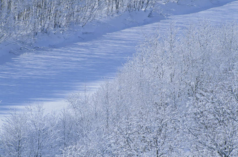 无人,横图,俯视,航拍,室外,白天,旅游,度假,美景,森林,树林,雪,植物,大雪,北海道,日本,亚洲,阴影,朦胧,模糊,光线,影子,积雪,景观,雪景,冬季,冬天,娱乐,树,树木,绿色,阳光,自然,享受,休闲,景色,放松,寒冷,生长,成长,鸟瞰,自然风光,雾凇,东亚,日本国,北海道地方,北海道岛,严寒,上士幌,上士幌町,彩图,高角度拍摄