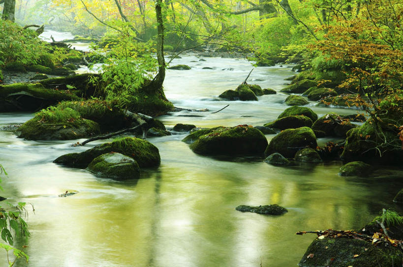 无人,横图,俯视,室外,白天,旅游,草地,草坪,河流,美景,树林,水,植物,日本,亚洲,朦胧,模糊,河水,景观,水流,草,树,树木,绿色,小溪,自然,溪水,景色,生长,成长,自然风光,东亚,本州,本州岛,日本国,青森,青森县,东北地方,十和田市,十和田,彩图,高角度拍摄,游览