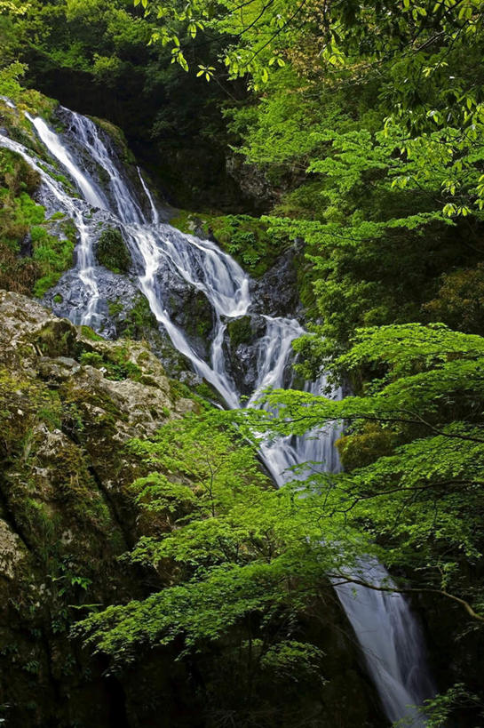 无人,竖图,室外,白天,仰视,旅游,度假,石头,美景,瀑布,山,山脉,水,植物,爱知县,日本,亚洲,飞溅,溅,石子,液体,景观,山峰,水滴,山峦,娱乐,水珠,树,树木,绿色,自然,群山,享受,休闲,景色,放松,生长,成长,喷洒,自然风光,东亚,本州,本州岛,日本国,中部地方,爱知,跌水,石块,岩石,彩图,低角度拍摄