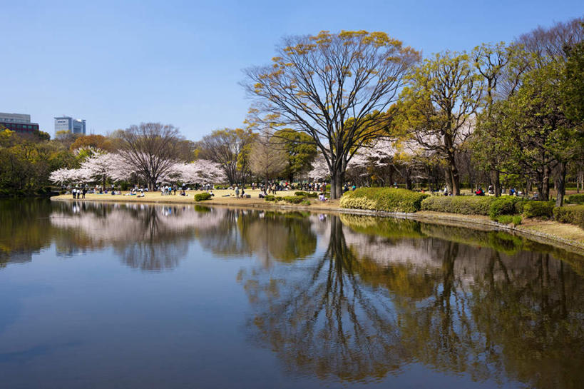 无人,公园,横图,室外,白天,正面,旅游,度假,河流,美景,树林,水,植物,东京,日本,亚洲,阴影,反射,影子,河水,景观,水流,娱乐,树,树木,蓝色,绿色,蓝天,天空,自然,天,享受,休闲,景色,放松,千代田区,生长,晴朗,成长,自然风光,东亚,本州,万里无云,关东地方,本州岛,日本国,东京都,北之丸公园,晴空,晴空万里,彩图