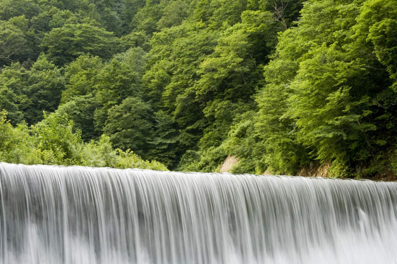 无人,横图,室外,白天,正面,长时间曝光,旅游,度假,美景,瀑布,森林,树林,水,植物,日本,亚洲,飞溅,朦胧,模糊,溅,液体,景观,水滴,娱乐,水珠,树,树木,绿色,自然,享受,休闲,景色,放松,生长,成长,喷洒,自然风光,东亚,本州,本州岛,日本国,青森,青森县,东北地方,跌水,彩图