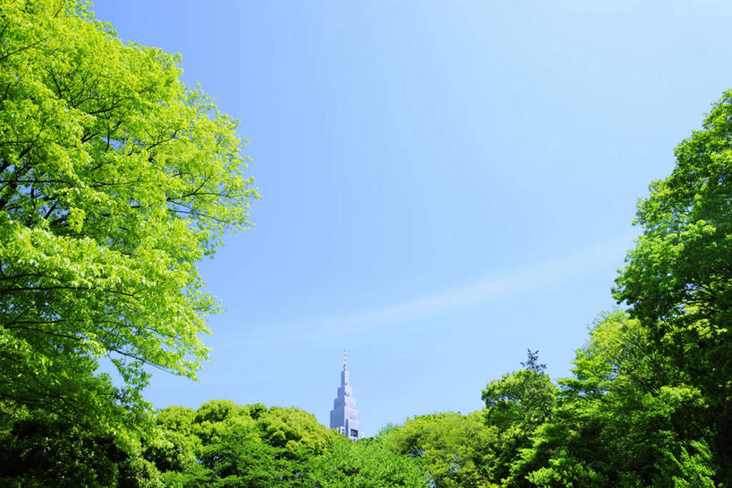 无人,高楼大厦,横图,室外,白天,仰视,旅游,度假,办公楼,植物,标志建筑,大厦,地标,建筑,摩天大楼,写字楼,东京,日本,亚洲,阴影,光线,影子,云,云朵,尖顶,云彩,娱乐,建设,树,树木,蓝色,绿色,白云,蓝天,天空,阳光,自然,楼宇,天,享受,休闲,旅游胜地,商务楼,放松,生长,晴朗,成长,东亚,本州,关东地方,本州岛,日本国,东京都,晴空,彩图,低角度拍摄,大楼,高层建筑,高楼,摩天楼