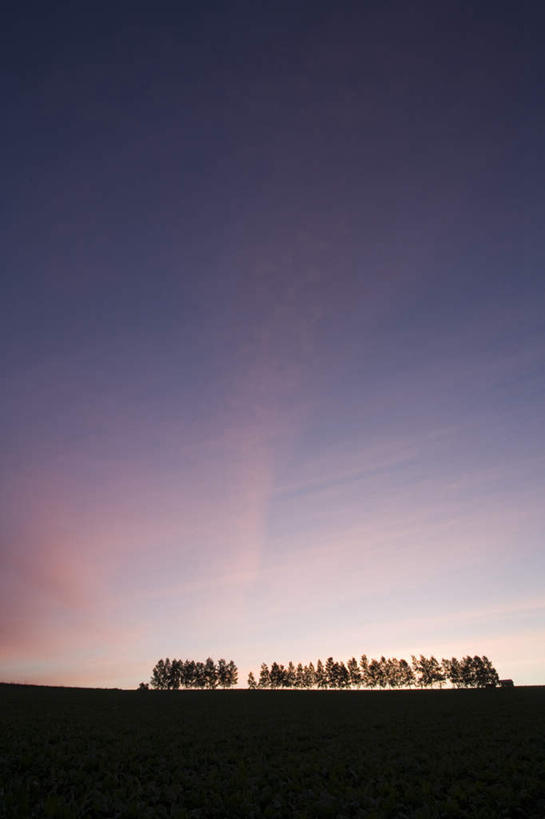 无人,竖图,室外,白天,正面,旅游,度假,草地,草坪,美景,日落,树林,植物,北海道,日本,亚洲,地平线,景观,晚霞,霞光,辽阔,地面,娱乐,草,树,树木,蓝色,绿色,蓝天,天空,自然,黄昏,天,享受,休闲,广阔,景色,彩霞,放松,生长,成长,一望无际,自然风光,延伸,东亚,日本国,天地相交,北海道地方,北海道岛,无边无际,一马平川,夕阳,彩图