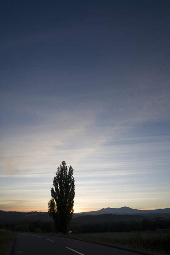 无人,竖图,室外,白天,正面,旅游,度假,草地,草坪,美景,日落,树林,植物,北海道,日本,亚洲,地平线,景观,晚霞,霞光,辽阔,地面,娱乐,草,树,树木,蓝色,绿色,蓝天,天空,自然,黄昏,天,享受,休闲,广阔,景色,彩霞,放松,生长,成长,一望无际,自然风光,延伸,东亚,日本国,天地相交,北海道地方,北海道岛,无边无际,一马平川,夕阳,彩图