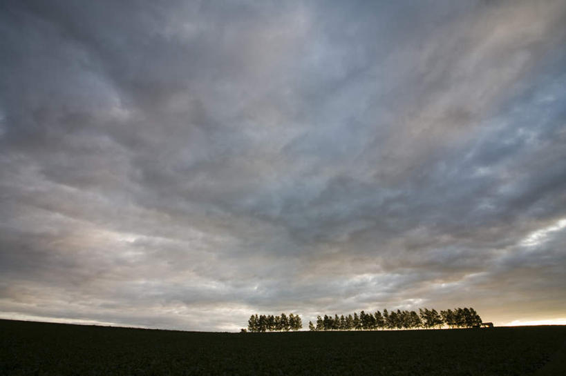 无人,横图,室外,白天,正面,旅游,度假,草地,草坪,美景,日落,树林,植物,北海道,日本,亚洲,地平线,景观,晚霞,霞光,辽阔,地面,娱乐,草,树,树木,蓝色,绿色,蓝天,天空,自然,黄昏,天,享受,休闲,广阔,景色,彩霞,放松,生长,成长,一望无际,自然风光,延伸,东亚,日本国,天地相交,北海道地方,北海道岛,无边无际,一马平川,夕阳,彩图