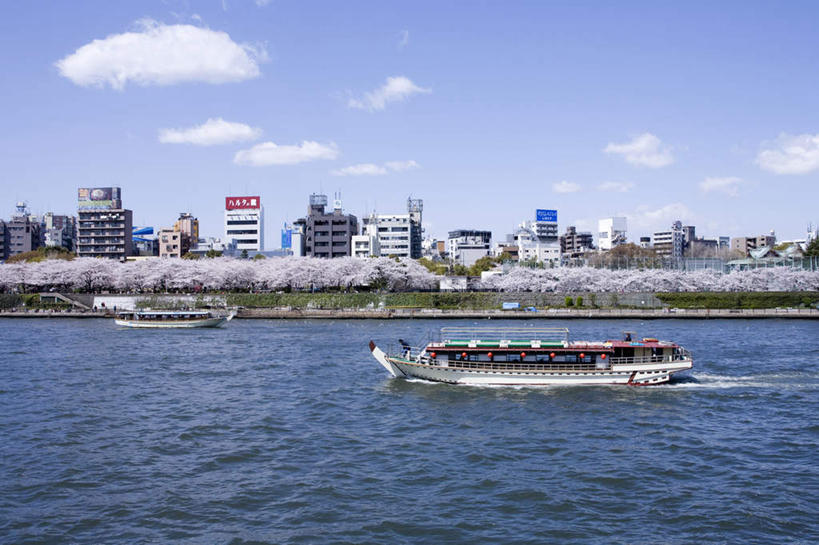 帆船,无人,横图,全景,室外,白天,正面,旅游,度假,幸福,纯洁,海浪,海洋,美景,天际线,植物,船,樱花,东京,日本,亚洲,一艘,许多,波纹,飞溅,盛开,溅,液体,景观,浪花,水滴,云,云朵,云彩,娱乐,水珠,花,花瓣,花朵,花卉,鲜花,树,树木,粉色,蓝色,绿色,白云,蓝天,水纹,天空,自然,海水,船尾波,交通工具,波浪,天,花蕊,享受,休闲,景色,放松,生长,晴朗,成长,等待,生命,喷洒,自然风光,载具,海景,东亚,本州,关东地方,本州岛,日本国,东京都,仙樱花,福岛樱,青肤樱,高尚,热烈,大海,风浪,海,海水的波动,近岸浪,涌浪,晴空,荆桃,彩图