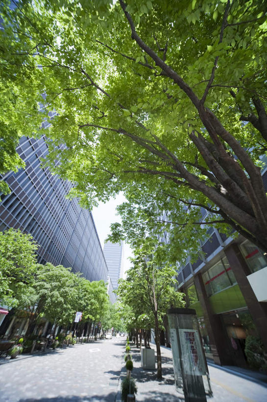 无人,高楼大厦,竖图,室外,白天,仰视,度假,办公楼,美景,植物,城市风光,标志建筑,城市,大厦,地标,建筑,摩天大楼,写字楼,东京,日本,亚洲,景观,云,云朵,云彩,娱乐,建设,树,树木,蓝色,绿色,白云,蓝天,天空,自然,楼宇,天,享受,休闲,商务楼,景色,放松,生长,晴朗,成长,东亚,本州,关东地方,本州岛,日本国,东京都,晴空,彩图,低角度拍摄,大楼,高层建筑,高楼,摩天楼