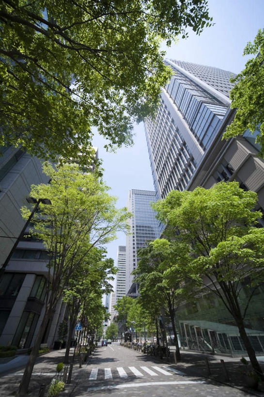 无人,高楼大厦,竖图,室外,白天,仰视,度假,办公楼,美景,植物,城市风光,标志建筑,城市,大厦,道路,地标,建筑,路,摩天大楼,人行横道,写字楼,公路,东京,日本,亚洲,阴影,光线,影子,景观,云,云朵,人行道,交通,云彩,娱乐,建设,树,树木,蓝色,绿色,白云,蓝天,天空,阳光,自然,楼宇,天,享受,休闲,商务楼,景色,放松,生长,晴朗,成长,人行横道线,东亚,本州,关东地方,本州岛,日本国,东京都,晴空,斑马线,马路,彩图,低角度拍摄,大楼,高层建筑,高楼,摩天楼