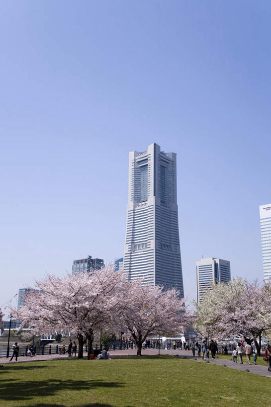 无人,高楼大厦,竖图,室外,白天,仰视,度假,幸福,纯洁,办公楼,草地,草坪,美景,植物,城市风光,标志建筑,城市,大厦,地标,建筑,摩天大楼,写字楼,樱花,神奈川,日本,亚洲,许多,阴影,盛开,光线,影子,景观,横滨,横滨市,神奈川县,花蕾,娱乐,建设,草,花,花瓣,花朵,鲜花,树,树木,粉色,蓝色,绿色,蓝天,天空,阳光,自然,楼宇,天,花苞,花蕊,享受,休闲,商务楼,景色,放松,生长,成长,等待,生命,东亚,本州,首府,关东地方,本州岛,日本国,仙樱花,福岛樱,青肤樱,高尚,热烈,横滨地标塔,横滨地标塔大厦,横滨路标塔,荆桃,彩图,低角度拍摄,大楼,高层建筑,高楼,摩天楼