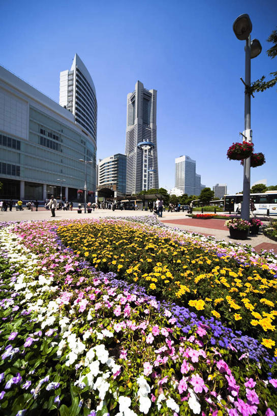 无人,高楼大厦,竖图,室外,白天,仰视,度假,办公楼,美景,植物,城市风光,标志建筑,城市,大厦,地标,建筑,摩天大楼,写字楼,叶子,神奈川,日本,亚洲,许多,盛开,景观,绿叶,横滨,横滨市,神奈川县,娱乐,建设,花,花瓣,花朵,花卉,鲜花,红色,紫色,楼宇,花蕊,享受,休闲,嫩叶,商务楼,景色,放松,东亚,本州,首府,关东地方,本州岛,日本国,横滨地标塔,横滨地标塔大厦,横滨路标塔,叶,叶片,彩图,低角度拍摄,大楼,高层建筑,高楼,摩天楼