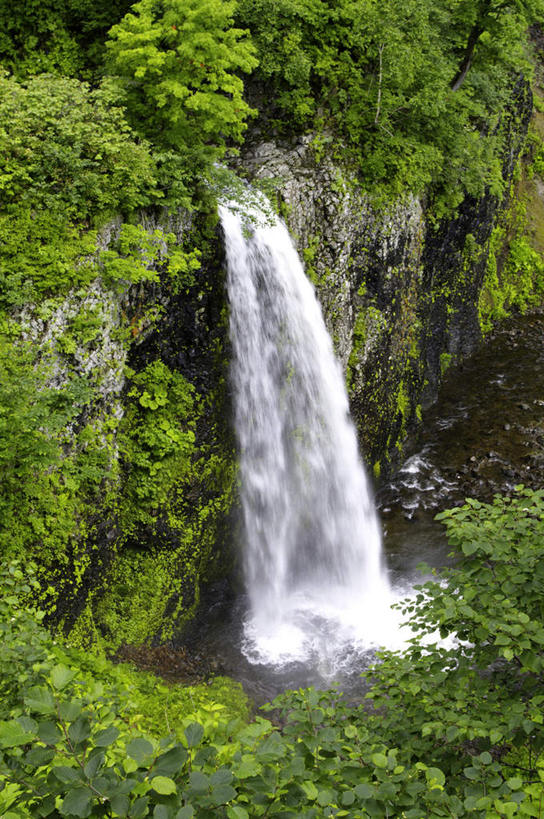 无人,竖图,室外,白天,正面,长时间曝光,旅游,度假,美景,瀑布,水,植物,北海道,日本,亚洲,飞溅,朦胧,模糊,湍急,溅,液体,景观,水滴,悬崖,苔藓,娱乐,水珠,树木,绿色,自然,享受,休闲,景色,放松,生长,成长,喷洒,自然风光,陡崖,东亚,日本国,北海道地方,北海道岛,跌水,彩图