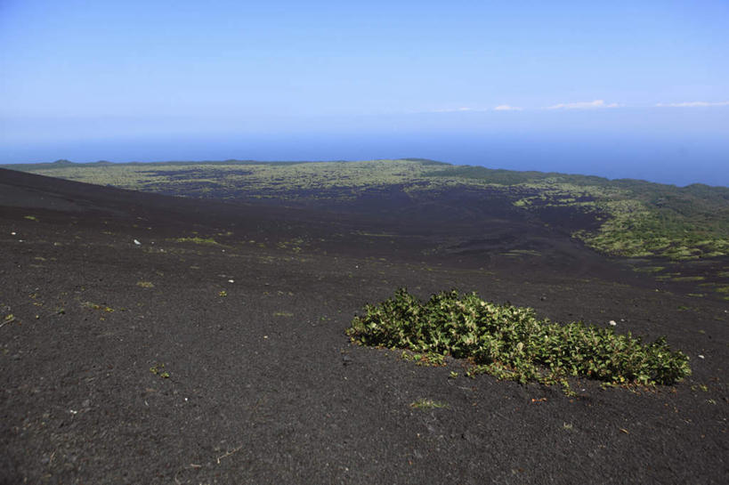 无人,横图,室外,白天,正面,旅游,度假,草地,火山,石头,美景,山,山脉,植物,东京,日本,亚洲,石子,景观,山顶,山峰,云,云朵,山峦,云彩,娱乐,草,蓝色,绿色,白云,蓝天,天空,自然,群山,天,享受,休闲,景色,放松,晴朗,自然风光,东亚,沉积岩,本州,关东地方,本州岛,日本国,东京都,颠峰,极峰,三原山,水成岩,豆南诸岛,伊豆大岛,伊豆七岛,伊豆群岛,活火山,石块,死火山,休眠火山,岩石,晴空,彩图