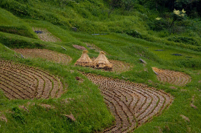 无人,农田,横图,俯视,室外,白天,旅游,度假,庄稼,农作物,草地,石头,美景,山,山脉,植物,日本,亚洲,一堆,许多,堆叠,堆积,石子,景观,山顶,山峰,云,云朵,干草,山峦,千叶县,云彩,娱乐,草,树,树木,蓝色,绿色,白云,蓝天,天空,自然,群山,天,享受,休闲,景色,放松,生长,晴朗,成长,堆,自然风光,东亚,沉积岩,本州,关东地方,本州岛,日本国,千叶,颠峰,极峰,水成岩,石块,岩石,晴空,彩图,高角度拍摄,耕地,庄稼田