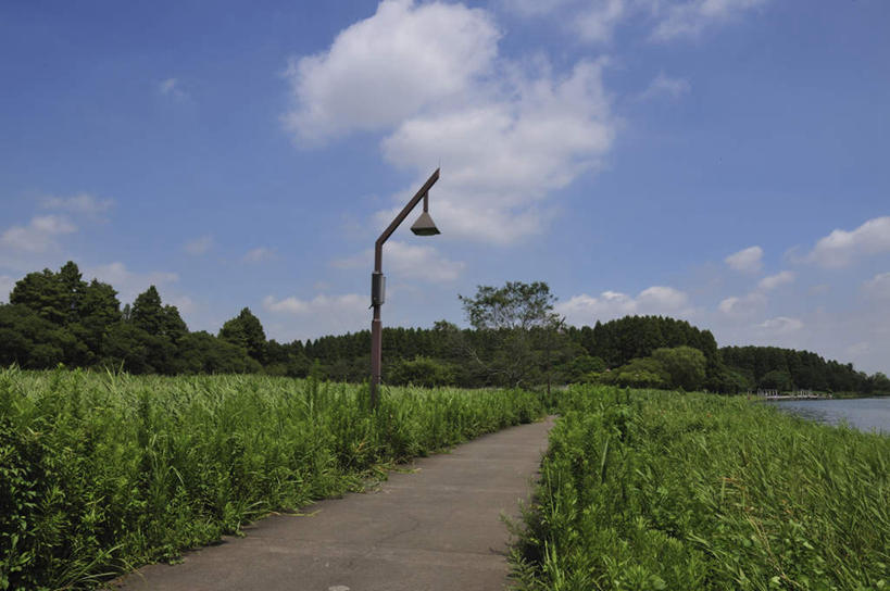 无人,横图,室外,白天,正面,旅游,度假,草地,湖,湖泊,美景,水,植物,道路,路,路灯,照明,东京,日本,亚洲,湖面,景观,水流,水面,云,云朵,小路,灯光,交通,云彩,娱乐,灯,草,树,树木,蓝色,绿色,白云,蓝天,天空,自然,湖水,天,享受,休闲,景色,放松,生长,晴朗,成长,照亮,照明设备,自然风光,东亚,本州,关东地方,本州岛,日本国,东京都,水元公园,葛饰区,晴空,彩图