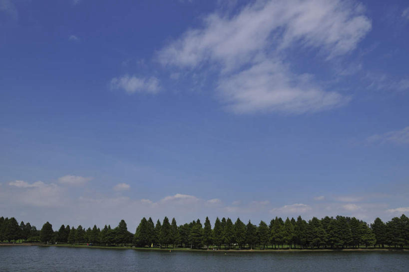 无人,横图,室外,白天,正面,旅游,度假,湖,湖泊,美景,水,植物,东京,日本,亚洲,湖面,景观,水流,水面,云,云朵,云彩,娱乐,树,树木,蓝色,绿色,白云,蓝天,天空,自然,湖水,天,享受,休闲,景色,放松,生长,晴朗,成长,自然风光,东亚,本州,关东地方,本州岛,日本国,东京都,水元公园,葛饰区,晴空,彩图