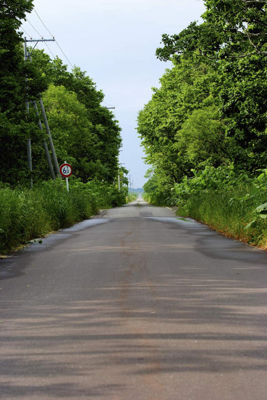 无人,竖图,室外,白天,正面,旅游,度假,草地,草坪,美景,植物,楼梯,道路,路,北海道,日本,亚洲,阴影,光线,影子,阶梯,景观,云,云朵,小路,交通,云彩,娱乐,台阶,草,树,树木,蓝色,绿色,白云,蓝天,天空,阳光,自然,天,享受,休闲,景色,放松,乡间小路,生长,成长,自然风光,东亚,日本国,北海道地方,北海道岛,彩图