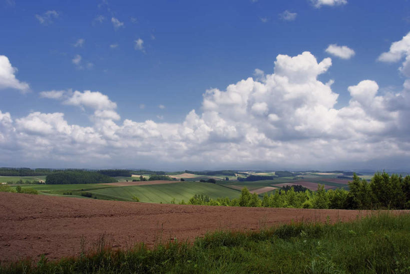 无人,家,农田,横图,室外,白天,正面,旅游,度假,庄稼,农作物,草地,草坪,美景,植物,北海道,日本,亚洲,一堆,阴影,堆叠,堆积,光线,影子,房屋,屋子,地平线,景观,云,云朵,辽阔,地面,云彩,娱乐,楼房,住宅,草,树,树木,蓝色,绿色,白云,蓝天,天空,阳光,自然,天,享受,休闲,广阔,景色,放松,生长,成长,堆,一望无际,自然风光,延伸,东亚,日本国,天地相交,北海道地方,北海道岛,无边无际,一马平川,彩图,耕地,庄稼田,房子