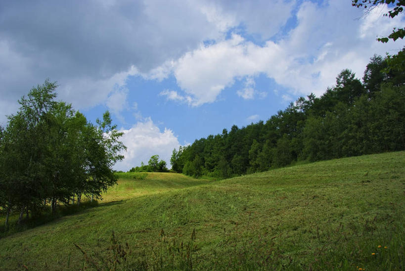 无人,横图,室外,白天,正面,旅游,度假,草地,草坪,美景,植物,北海道,日本,亚洲,一堆,阴影,堆叠,堆积,光线,影子,景观,云,云朵,云彩,娱乐,草,树,树木,蓝色,绿色,白云,蓝天,天空,阳光,自然,天,享受,休闲,景色,放松,生长,成长,堆,自然风光,东亚,日本国,北海道地方,北海道岛,彩图