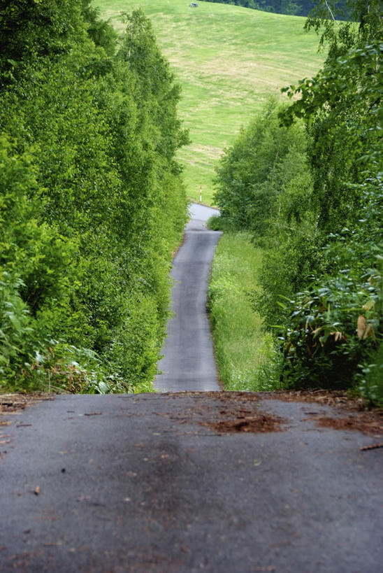 无人,竖图,俯视,室外,白天,旅游,度假,草地,草坪,美景,植物,道路,路,北海道,日本,亚洲,阴影,光线,影子,景观,小路,交通,娱乐,草,树,树木,绿色,阳光,自然,享受,休闲,景色,放松,乡间小路,生长,成长,自然风光,东亚,日本国,北海道地方,北海道岛,彩图,高角度拍摄