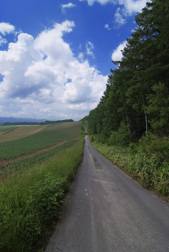 无人,农田,竖图,室外,白天,正面,旅游,度假,庄稼,农作物,草地,草坪,美景,植物,道路,路,北海道,日本,亚洲,一堆,阴影,堆叠,堆积,光线,影子,景观,云,云朵,小路,交通,云彩,娱乐,草,树,树木,蓝色,绿色,白云,蓝天,天空,阳光,自然,天,享受,休闲,景色,放松,乡间小路,生长,成长,堆,自然风光,东亚,日本国,北海道地方,北海道岛,彩图,耕地,庄稼田