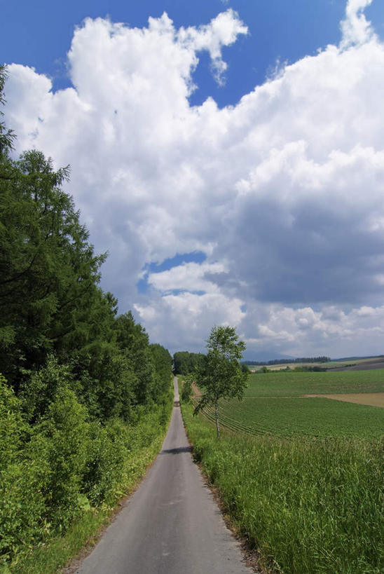 无人,竖图,室外,白天,正面,旅游,度假,草地,草坪,美景,植物,道路,路,北海道,日本,亚洲,一堆,阴影,堆叠,堆积,光线,影子,景观,云,云朵,小路,交通,云彩,娱乐,草,树,树木,蓝色,绿色,白云,蓝天,天空,阳光,自然,天,享受,休闲,景色,放松,乡间小路,生长,成长,堆,自然风光,东亚,日本国,北海道地方,北海道岛,彩图