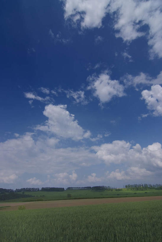 无人,农田,竖图,室外,白天,正面,旅游,度假,庄稼,农作物,草地,草坪,美景,植物,蔬菜,北海道,日本,亚洲,阴影,新鲜,光线,影子,地平线,景观,辽阔,食品,地面,娱乐,草,树,树木,食物,绿色,阳光,自然,享受,休闲,广阔,景色,放松,有机食品,绿色食品,生长,成长,一望无际,自然风光,延伸,东亚,日本国,天地相交,北海道地方,北海道岛,无边无际,一马平川,彩图,耕地,庄稼田