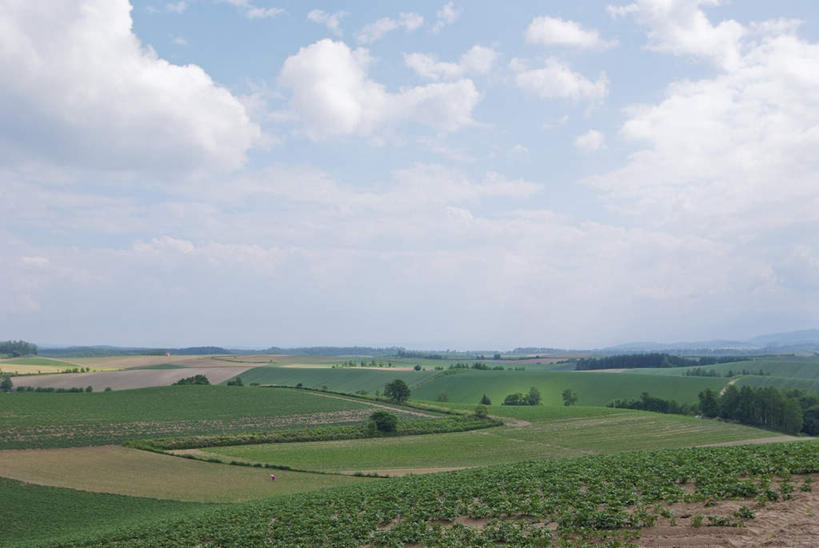 无人,农田,横图,俯视,室外,白天,旅游,度假,农业,庄稼,农作物,草地,草坪,美景,植物,道路,路,蔬菜,北海道,日本,亚洲,一堆,阴影,堆叠,堆积,新鲜,光线,影子,稻田,景观,云,云朵,小路,食品,交通,云彩,娱乐,草,树,树木,食物,蓝色,绿色,白云,蓝天,天空,阳光,自然,天,享受,休闲,景色,放松,有机食品,绿色食品,乡间小路,生长,成长,堆,自然风光,东亚,日本国,北海道地方,北海道岛,彩图,高角度拍摄,耕地,庄稼田