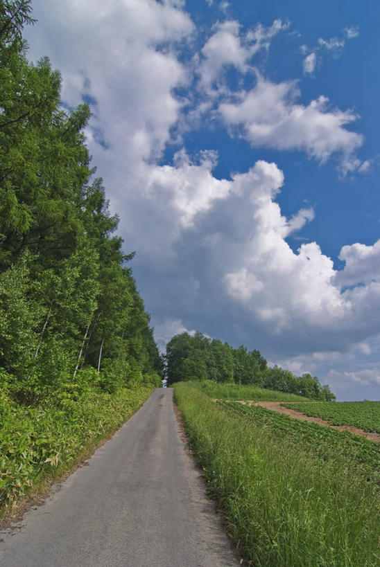无人,农田,竖图,室外,白天,正面,旅游,度假,庄稼,农作物,草地,草坪,美景,植物,道路,路,蔬菜,北海道,日本,亚洲,一堆,阴影,堆叠,堆积,新鲜,光线,影子,景观,云,云朵,小路,食品,交通,云彩,娱乐,草,树,树木,食物,蓝色,绿色,白云,蓝天,天空,阳光,自然,天,享受,休闲,景色,放松,有机食品,绿色食品,乡间小路,生长,成长,堆,自然风光,东亚,日本国,北海道地方,北海道岛,彩图,耕地,庄稼田