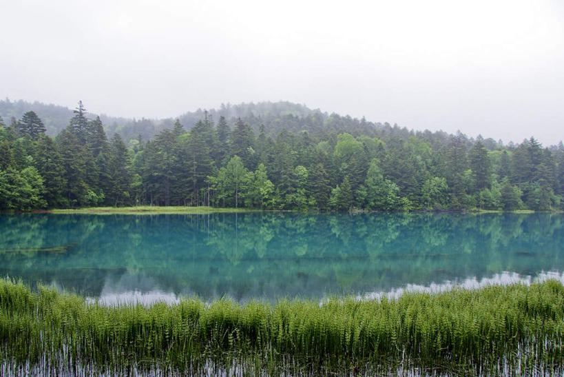 无人,农田,横图,俯视,室外,白天,旅游,度假,庄稼,农作物,草地,草坪,湖,湖泊,美景,水,植物,北海道,日本,亚洲,阴影,光线,影子,湖面,景观,水流,水面,云,云朵,云彩,娱乐,草,树,树木,蓝色,绿色,白云,倒影,蓝天,天空,阳光,自然,湖水,天,享受,休闲,景色,放松,生长,成长,倒映,自然风光,东亚,日本国,北海道地方,北海道岛,反照,彩图,高角度拍摄,耕地,庄稼田