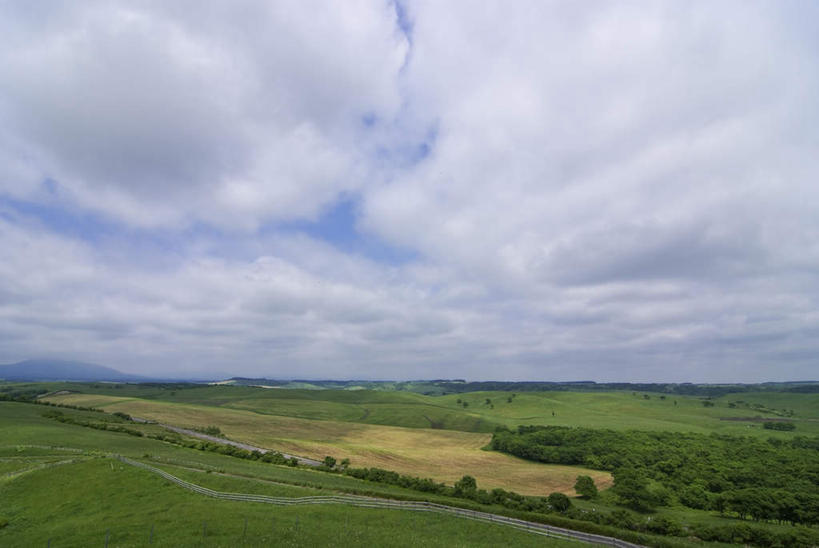 无人,农田,横图,室外,白天,正面,旅游,度假,庄稼,农作物,草地,草坪,美景,植物,道路,路,北海道,日本,亚洲,一堆,阴影,堆叠,堆积,光线,影子,景观,云,云朵,小路,交通,云彩,娱乐,草,树,树木,蓝色,绿色,白云,蓝天,天空,阳光,自然,天,享受,休闲,景色,放松,乡间小路,生长,成长,堆,自然风光,东亚,日本国,北海道地方,北海道岛,彩图,耕地,庄稼田