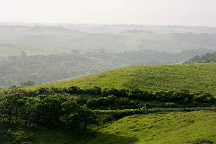 无人,农田,横图,俯视,室外,白天,旅游,度假,庄稼,农作物,草地,草坪,美景,山,山脉,植物,雾,道路,路,北海道,日本,亚洲,阴影,朦胧,模糊,光线,影子,景观,山峰,云,云朵,小路,交通,山峦,云彩,娱乐,草,树,树木,蓝色,绿色,白云,蓝天,天空,阳光,自然,群山,天,享受,休闲,景色,放松,乡间小路,生长,成长,迷雾,自然风光,东亚,日本国,北海道地方,北海道岛,大雾,彩图,高角度拍摄,耕地,庄稼田