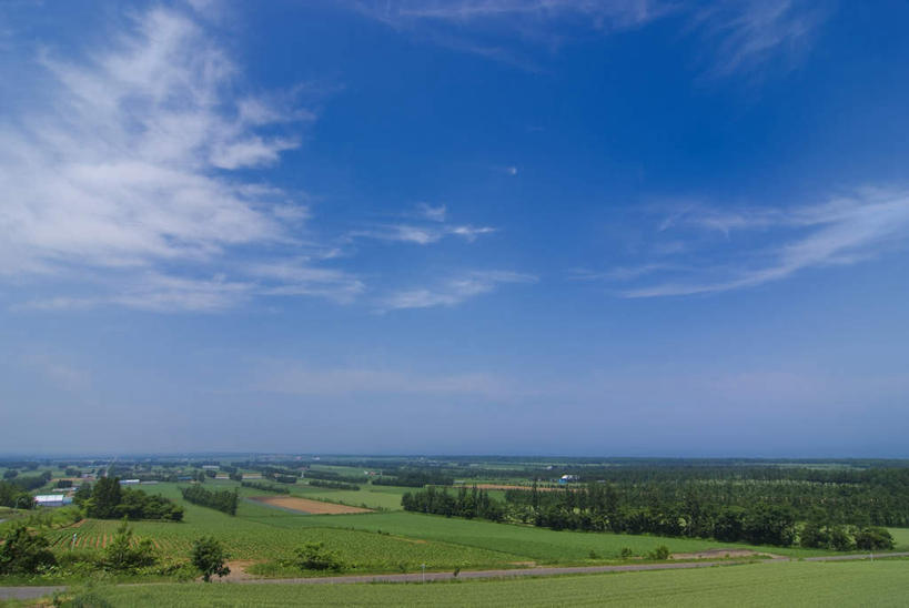 无人,家,农田,横图,俯视,室外,白天,旅游,度假,庄稼,农作物,草地,草坪,美景,植物,道路,路,北海道,日本,亚洲,阴影,光线,影子,房屋,屋子,景观,云,云朵,小路,交通,云彩,娱乐,楼房,住宅,草,树,树木,蓝色,绿色,白云,蓝天,天空,阳光,自然,天,享受,休闲,景色,放松,乡间小路,生长,成长,自然风光,东亚,日本国,北海道地方,北海道岛,彩图,高角度拍摄,耕地,庄稼田,房子