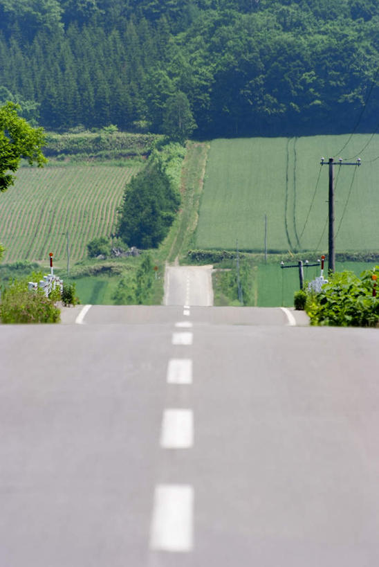无人,农田,竖图,俯视,室外,白天,旅游,度假,庄稼,农作物,草地,草坪,美景,植物,道路,路,北海道,日本,亚洲,阴影,电力,光线,电线,线,影子,景观,小路,分界线,电能,停车线,交通,线路,娱乐,草,树,树木,绿色,白色,阳光,自然,享受,休闲,景色,放松,乡间小路,生长,成长,电,车行道,车行道分界线,电源,电源线,自然风光,标线,能量,东亚,车行线,日本国,北海道地方,北海道岛,彩图,高角度拍摄,耕地,庄稼田