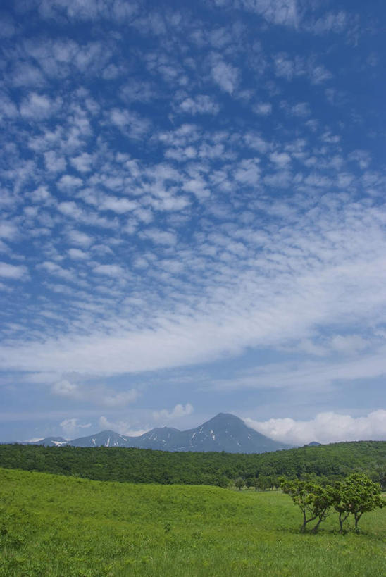无人,农田,竖图,室外,白天,正面,旅游,度假,庄稼,农作物,草地,草坪,美景,植物,北海道,日本,亚洲,阴影,光线,影子,景观,云,云朵,云彩,娱乐,草,树,树木,蓝色,绿色,白云,蓝天,天空,阳光,自然,天,享受,休闲,景色,放松,生长,成长,自然风光,东亚,日本国,北海道地方,北海道岛,彩图,耕地,庄稼田