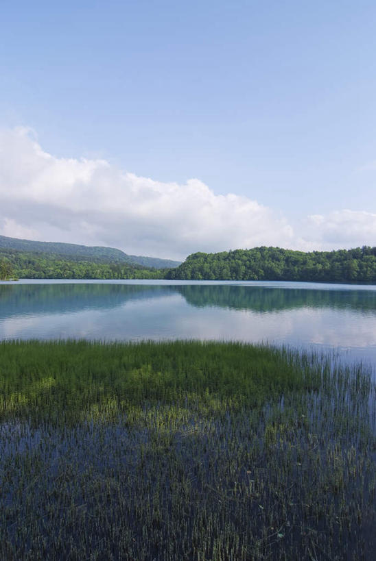 无人,竖图,室外,白天,正面,旅游,度假,草地,草坪,湖,湖泊,美景,水,植物,北海道,日本,亚洲,阴影,光线,影子,湖面,景观,水流,水面,云,云朵,云彩,娱乐,草,树,树木,蓝色,绿色,白云,蓝天,天空,阳光,自然,湖水,天,享受,休闲,景色,放松,生长,成长,自然风光,东亚,日本国,北海道地方,北海道岛,彩图