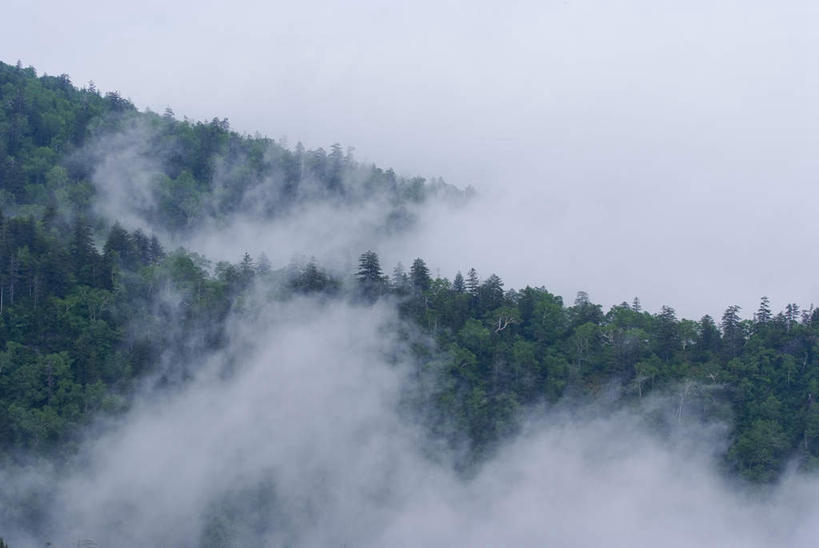 无人,横图,俯视,航拍,室外,白天,旅游,度假,草地,草坪,美景,山,山脉,植物,雾,北海道,日本,亚洲,阴影,朦胧,模糊,光线,影子,景观,山峰,山峦,娱乐,草,树,树木,绿色,阳光,自然,群山,享受,休闲,景色,放松,生长,成长,迷雾,鸟瞰,自然风光,东亚,日本国,北海道地方,北海道岛,大雾,彩图,高角度拍摄