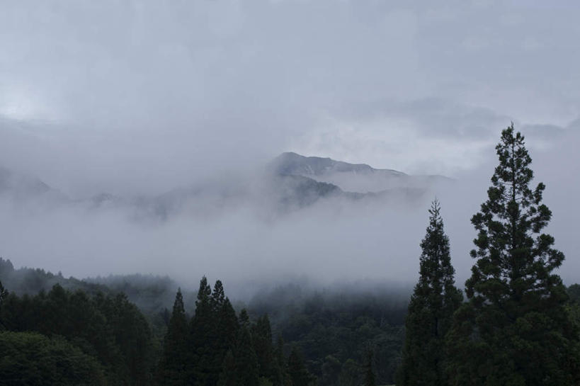 无人,横图,俯视,航拍,室外,白天,旅游,度假,草地,草坪,美景,山,山脉,植物,雾,长野县,日本,亚洲,阴影,朦胧,模糊,反射,影子,景观,山峰,山峦,娱乐,草,树,树木,蓝色,绿色,蓝天,天空,自然,群山,天,享受,休闲,景色,放松,生长,成长,迷雾,鸟瞰,自然风光,东亚,本州,本州岛,日本国,中部地方,长野,大雾,彩图,高角度拍摄