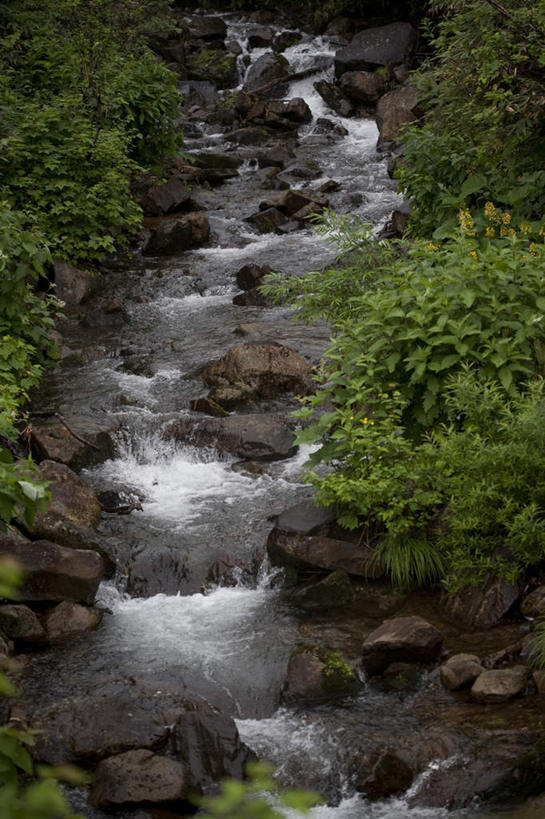 无人,竖图,俯视,室外,白天,旅游,度假,草地,草坪,河流,礁石,石头,美景,水,植物,长野县,日本,亚洲,阴影,飞溅,溅,光线,石子,液体,影子,河水,景观,水滴,水流,娱乐,水珠,草,树,树木,绿色,小溪,阳光,自然,溪水,享受,休闲,景色,放松,生长,成长,喷洒,自然风光,东亚,本州,本州岛,日本国,中部地方,长野,礁,石块,岩石,彩图,高角度拍摄