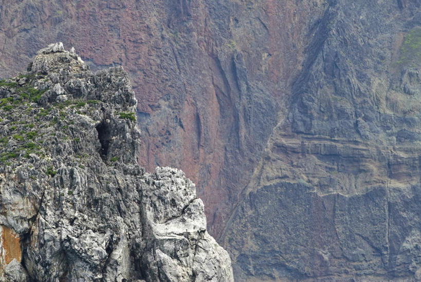 无人,横图,俯视,室外,白天,旅游,度假,草地,草坪,礁石,石头,美景,山,山脉,植物,东京,日本,亚洲,阴影,光线,石子,影子,景观,山峰,山峦,娱乐,草,树,树木,绿色,阳光,自然,群山,享受,休闲,景色,放松,生长,成长,自然风光,东亚,本州,关东地方,本州岛,日本国,东京都,礁,石块,岩石,彩图,高角度拍摄