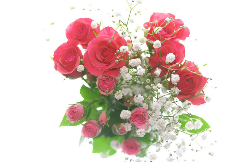 无人,横图,俯视,室内,特写,白天,白色背景,爱情,幸福,纯洁,热情,玫瑰,叶子,许多,阴影,盛开,反射,影子,绿叶,玫瑰花,浪漫,花蕾,花,花瓣,花朵,鲜花,花苞,花蕊,温暖,温馨,嫩叶,恩爱,摄影,影棚,和睦,感动,尊敬,天真,刺玫花,徘徊花,叶,叶片,彩图,高角度拍摄,影棚拍摄,拍摄,融洽