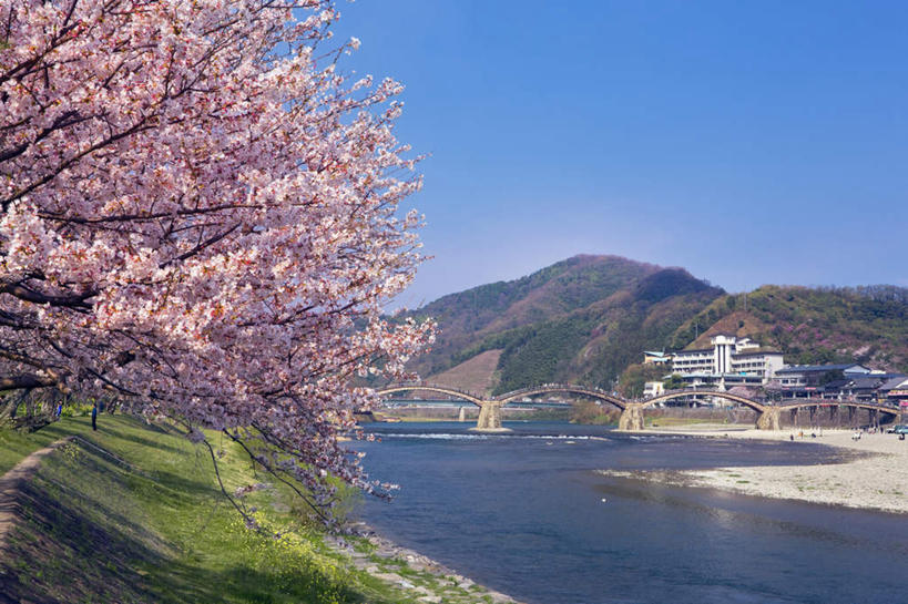 无人,家,横图,俯视,室外,白天,旅游,度假,草地,草坪,河流,美景,水,植物,樱花,神奈川,日本,亚洲,许多,阴影,盛开,光线,木板,影子,房屋,屋子,河水,景观,水流,桥,木桥,神奈川县,花蕾,娱乐,楼房,住宅,栈桥,草,花,花瓣,花朵,鲜花,树,树木,粉色,蓝色,绿色,蓝天,天空,阳光,自然,天,花苞,花蕊,享受,休闲,景色,放松,生长,晴朗,成长,人行桥,木板桥,自然风光,东亚,本州,万里无云,关东地方,本州岛,日本国,仙樱花,福岛樱,青肤樱,晴空,晴空万里,荆桃,彩图,高角度拍摄,房子