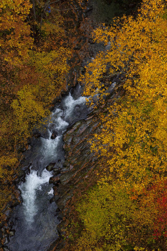 无人,竖图,俯视,室外,白天,旅游,度假,草地,草坪,河流,礁石,石头,美景,水,植物,神奈川,日本,亚洲,阴影,光线,石子,影子,河水,景观,水流,神奈川县,娱乐,草,树,树木,绿色,小溪,阳光,自然,溪水,享受,休闲,景色,放松,生长,成长,自然风光,东亚,本州,关东地方,本州岛,日本国,礁,石块,岩石,彩图,高角度拍摄