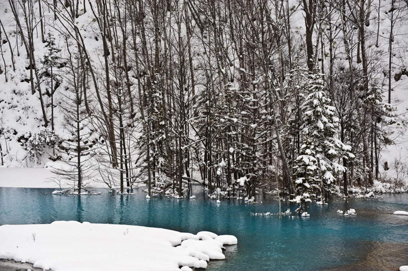 无人,横图,俯视,室外,白天,旅游,度假,草地,草坪,河流,美景,水,雪,植物,大雪,北海道,日本,亚洲,阴影,反射,影子,河水,积雪,景观,水流,雪景,冬季,冬天,娱乐,草,树,树木,绿色,自然,享受,休闲,景色,放松,寒冷,生长,成长,自然风光,东亚,日本国,北海道地方,北海道岛,严寒,彩图,高角度拍摄