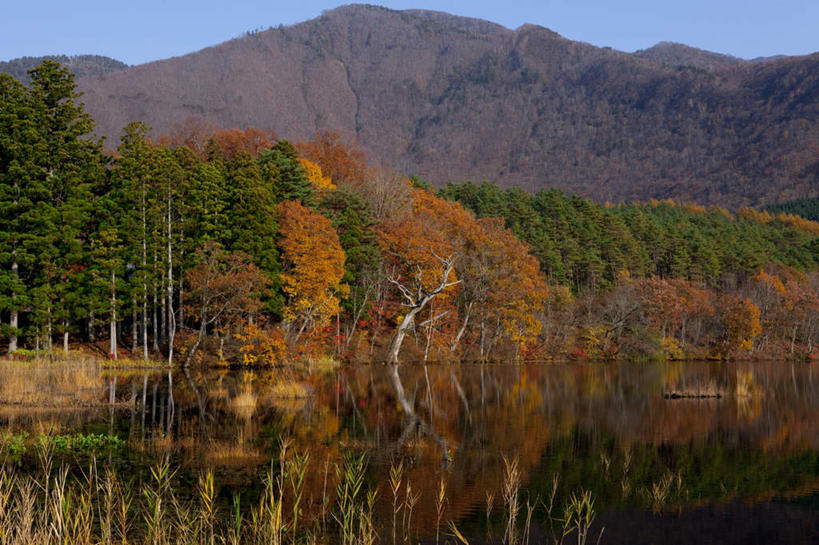 无人,横图,室外,白天,正面,旅游,度假,草地,草坪,湖,湖泊,美景,山,山脉,水,植物,日本,亚洲,阴影,光线,影子,湖面,景观,山峰,水流,水面,云,云朵,山峦,云彩,娱乐,草,树,树木,蓝色,绿色,白云,蓝天,天空,阳光,自然,湖水,群山,天,享受,休闲,景色,放松,生长,成长,自然风光,东亚,本州,本州岛,日本国,东北地方,福岛,福岛县,彩图